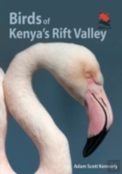 Bertrand.pt - Birds Of Kenya'S Rift Valley