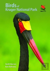 Birds Of Kruger National Park