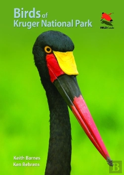 Bertrand.pt - Birds Of Kruger National Park