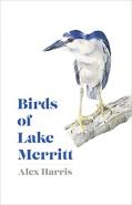 Birds Of Lake Merritt