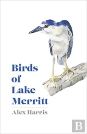 Birds Of Lake Merritt