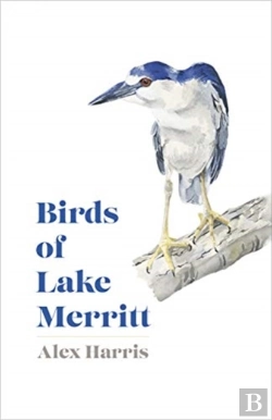 Bertrand.pt - Birds Of Lake Merritt