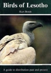 Birds Of Lesotho