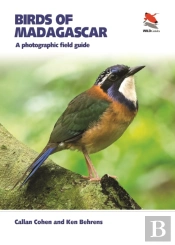 Birds Of Madagascar