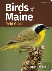 Birds Of Maine Field Guide