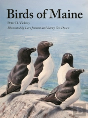 Birds Of Maine