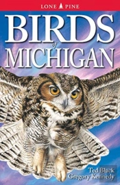 Birds Of Michigan