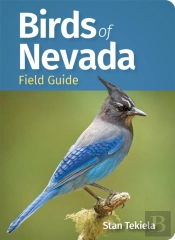 Birds Of Nevada Field Guide