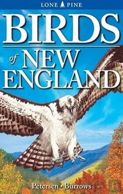 Bertrand.pt - Birds Of New England