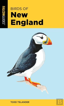 Bertrand.pt - Birds Of New England