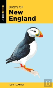 Birds Of New England