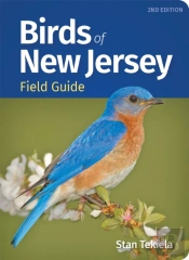 Birds Of New Jersey Field Guide
