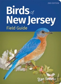 Bertrand.pt - Birds Of New Jersey Field Guide