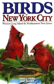 Birds Of New York City