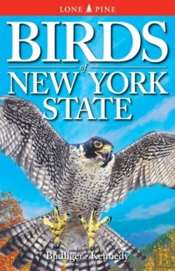 Bertrand.pt - Birds Of New York State