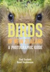 Birds Of New Zealand