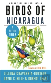 Birds Of Nicaragua