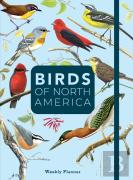 Birds Of North America