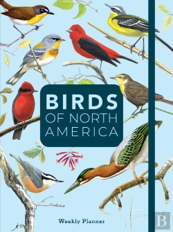 Bertrand.pt - Birds Of North America