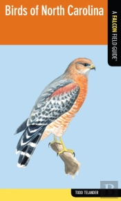 Birds Of North Carolina