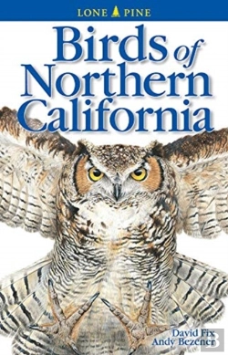 Bertrand.pt - Birds Of Northern California