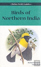 Birds Of Northern India