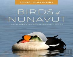 Birds Of Nunavut