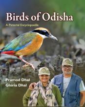 Birds Of Odisha