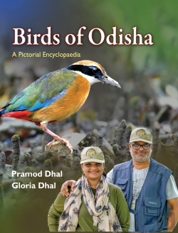 Bertrand.pt - Birds Of Odisha