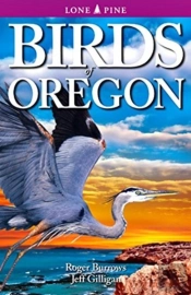 Birds Of Oregon