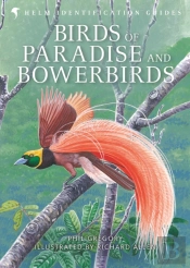 Birds Of Paradise And Bowerbirds