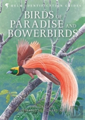 Birds Of Paradise And Bowerbirds