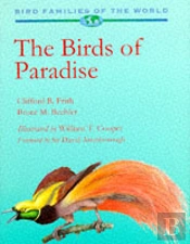 Birds Of Paradise