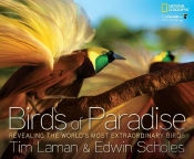 Birds Of Paradise