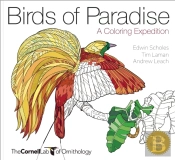 Birds Of Paradise