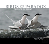 Birds Of Paradox