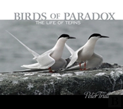 Bertrand.pt - Birds Of Paradox