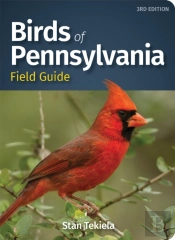 Birds Of Pennsylvania Field Guide