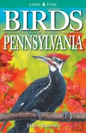 Birds Of Pennsylvania