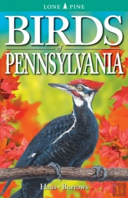 Bertrand.pt - Birds Of Pennsylvania