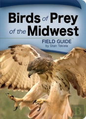 Birds Of Prey Of The Midwest Field Guide