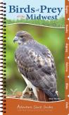 Birds Of Prey Of The Midwest