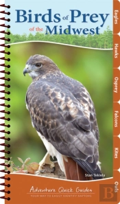 Birds Of Prey Of The Midwest