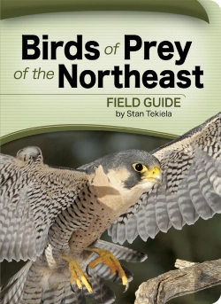 Bertrand.pt - Birds Of Prey Of The Northeast Field Guide