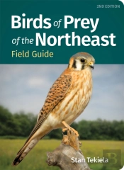Birds Of Prey Of The Northeast Field Guide