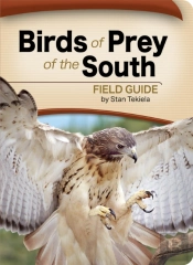 Birds Of Prey Of The South Field Guide
