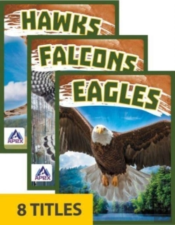 Bertrand.pt - Birds Of Prey (Set Of 8)