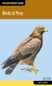 Birds Of Prey