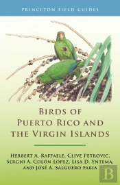 Birds Of Puerto Rico And The Virgin Islands