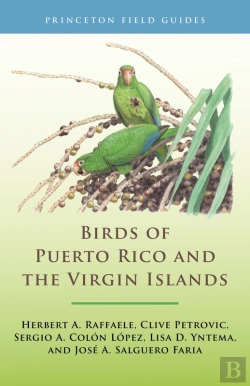 Bertrand.pt - Birds Of Puerto Rico And The Virgin Islands
